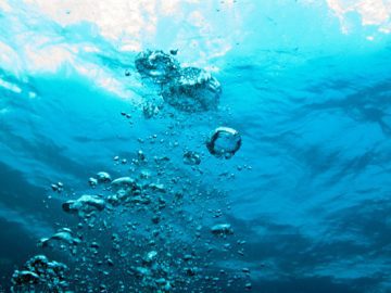 Hive Hive Hive Ransomware site submerged by FBI scaled