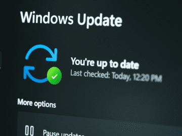 Microsoft Patch Tuesday, January 2023 Edition – Krebs on Security Microsoft Patch Tuesday, January 2023 Edition – Krebs on Security