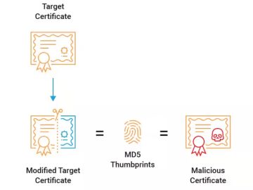 cryptoapi exploited scaled