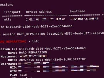Hackers Exploit Vulnerabilities in Sunlogin to Deploy Sliver C2 Framework Sliver C2 Framework