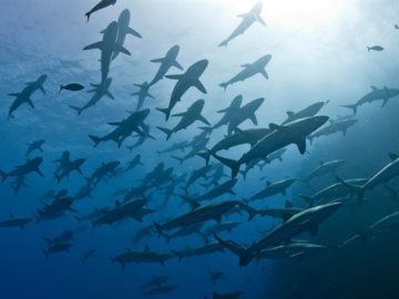 The 5 most dangerous cyberthreats facing businesses this year The 5 most dangerous cyberthreats facing businesses this year