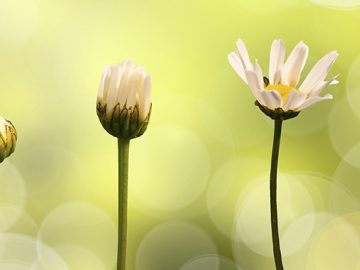 CBI launches campaign to boost UK tech unicorns CBI launches campaign to boost UK tech unicorns