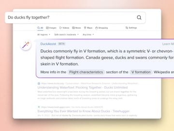 DuckDuckGo launches AI powered search query answering tool scaled