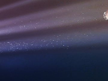 Face tech – recognising the retail opportunity scaled