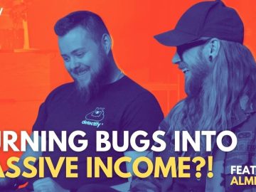 How to turn bugs into a passive income stream ft scaled