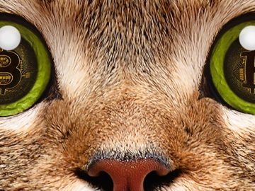 NatWest introduces limits on crypto trading to prevent fraud scaled