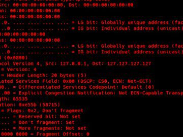 New GoLang-Based HinataBot Exploiting Router and Server Flaws for DDoS Attacks HinataBot