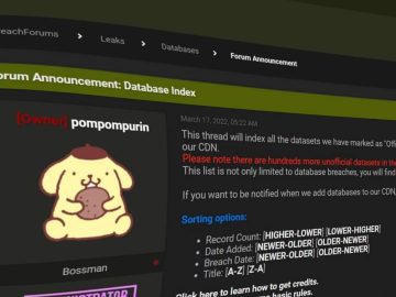 Owner of Breach Forums Pompompurin Arrested in New York scaled