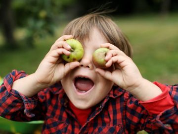 Update now Apple fixes actively exploited vulnerability and introduces new scaled