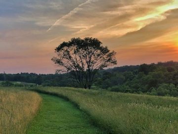 Week 3 Real Talk on Real Numbers by d0nut scaled