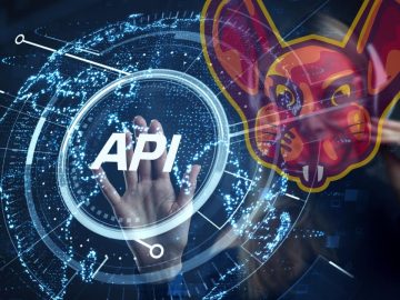 A Pentesters Introduction To The New OWASP API Top 10 scaled