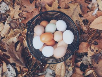 About eggs and baskets password managers scaled