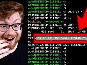 Cybersecurity Labs FOR FREE Linux Backdoor Analysis scaled