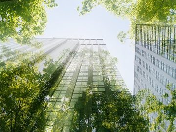 Driving up IT efficiency and sustainability scaled