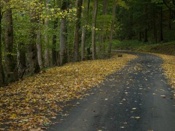 Exploring PathLib A path manipulation library for Net scaled