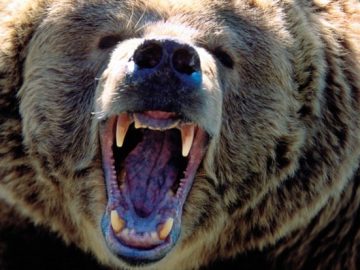 Fancy Bear known to be exploiting vulnerability in Cisco routers scaled