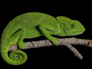 How attackers evade traditional AV and how to stop them How attackers evade traditional AV and how to stop them