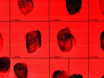 ICE Records Reveal How Agents Abuse Access to Secret Data ICE Records Reveal How Agents Abuse Access to Secret Data