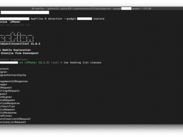 Low Hanging Apples Hunting Credentials and Secrets in iOS Apps