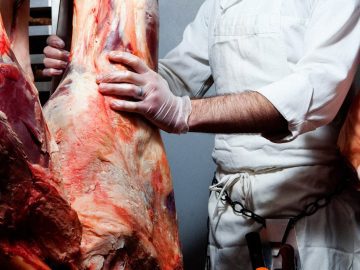 The Dangerous Weak Link in the US Food Chain The Dangerous Weak Link in the US Food Chain