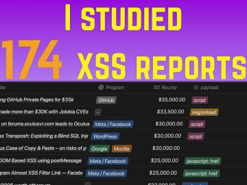 Which XSS payloads get the biggest bounties Case study scaled