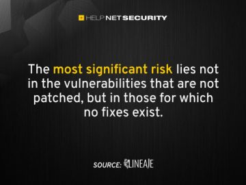 lineaje 24042023 scaled