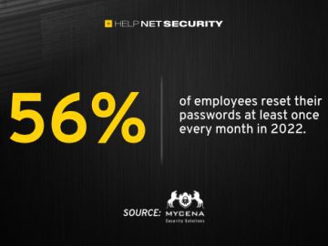 mycena 27042023 scaled