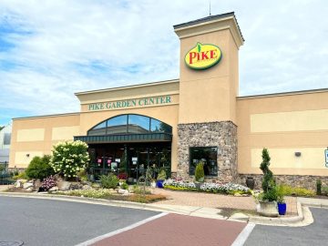 After Claiming Pike Nurseries Cyber Attack, Hackers Threaten To Leak Data After Claiming Pike Nurseries Cyber Attack, Hackers Threaten To Leak Data