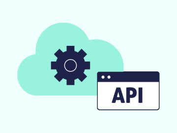 Are Your APIs Leaking Sensitive Data