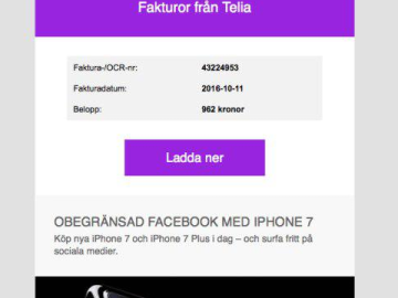 How to identify a phishing email