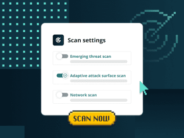 Intruder attack surface monitoring