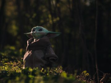 #WorldPasswordDay – Solo, Boba, and Leia among most breached Star Wars passwords #WorldPasswordDay - Solo, Boba, and Leia among most breached Star Wars passwords