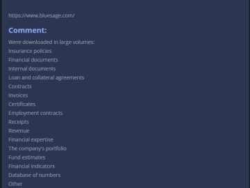 8Base Hacker Group Claims Blue Sage Capital Cyber Attack blue sage cyber attack