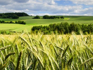 Government to tests rural broadband options with 7m fund