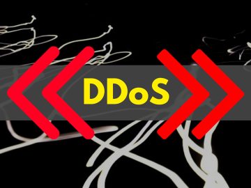 ddos 2023