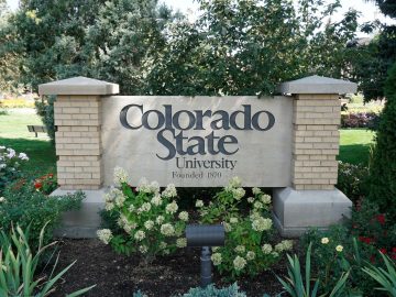 Colorado State University says data breach impacts students staff