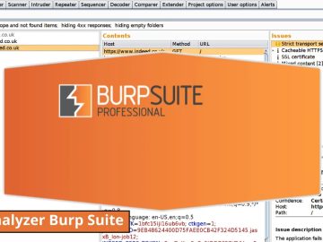 DNS Analyzer New Burp Suite Extension to Find DNS.webp