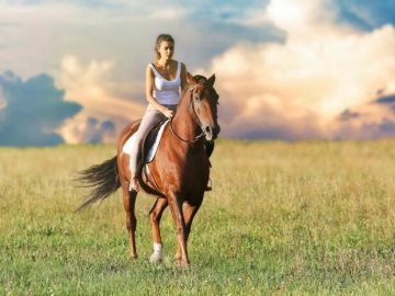 Horse Riding details of 10k users leaked by Ransomware group Horse Riding details of 10k users leaked by Ransomware group