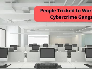 Thousands of Individuals were Rescued from Cybercrime Groups Snappy Detect Fake WiFi