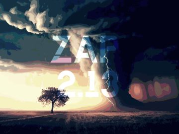 ZAP 2.13 Review ⚡️ ZAP 2.13 Review ⚡️