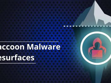 Raccoon Malware Resurface in Dark Web with Stealing Capabilities Raccoon Malware Resurfaces in Dark Web with New Stealing Capabilities