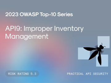 API9:2023 Improper Inventory Management