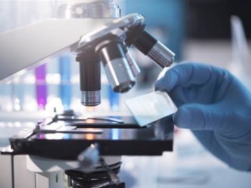 Gov sets 2024 target to get more data into My.jpgh420w748c0s0