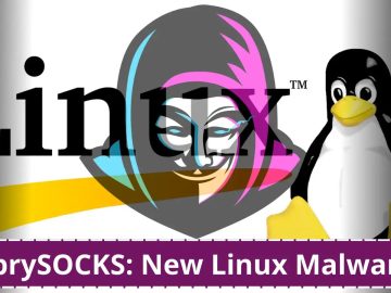 Hackers have deployed a Linux backdoor to attack government entities.webp