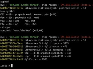 Microsoft Uncovers Flaws in ncurses Library Affecting Linux and macOS