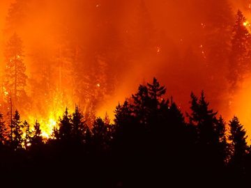 SME disaster recovery Five key points to consider