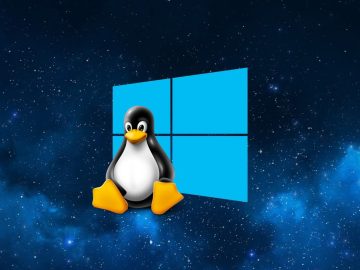 Windows Subsystem for Linux gets new mirrored network mode