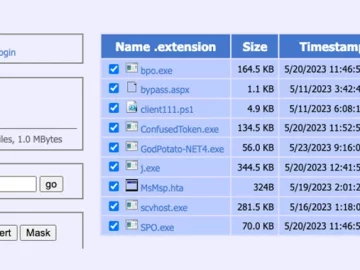 A Year Long Web Skimming Campaign Targeting Online Payment Businesses