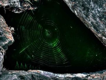 The Commerce Of Dark Web Marketplace: What’s Your Digital Worth? Dark Web Marketplace