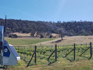 Treasury Wine Estates predictive AI and self driving vehicles pay off.PNGh420w748c0s0